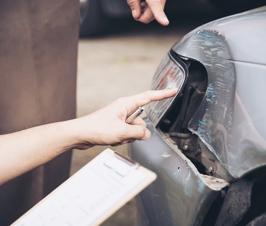 content_parkschaeden