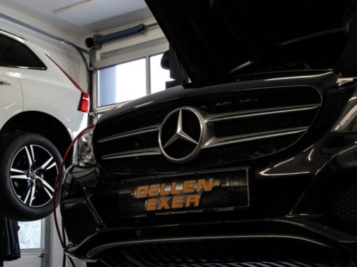 Unfallinstandsetzung Dellen Exer Gera